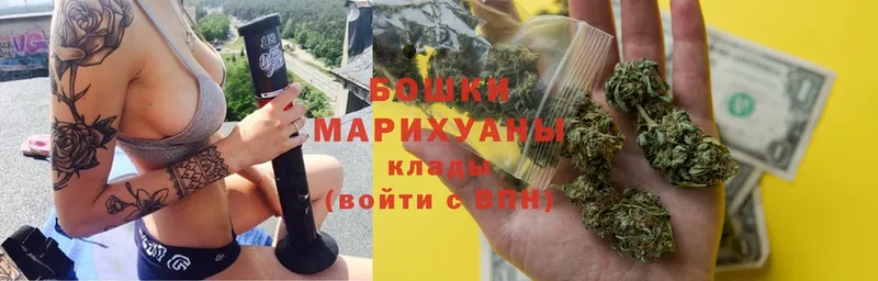 Каннабис OG Kush  Балашов 